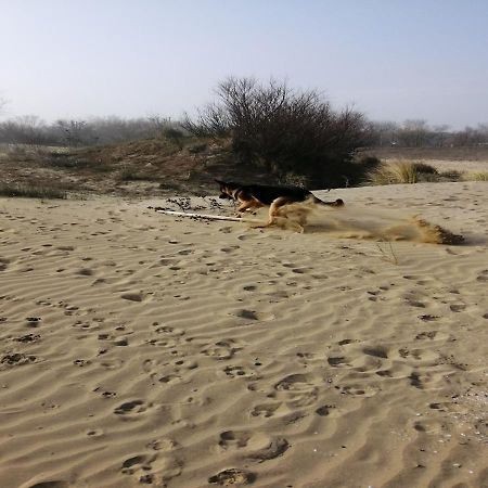 Alloggi Al Mare 7 Cavallino-Treporti Exteriér fotografie