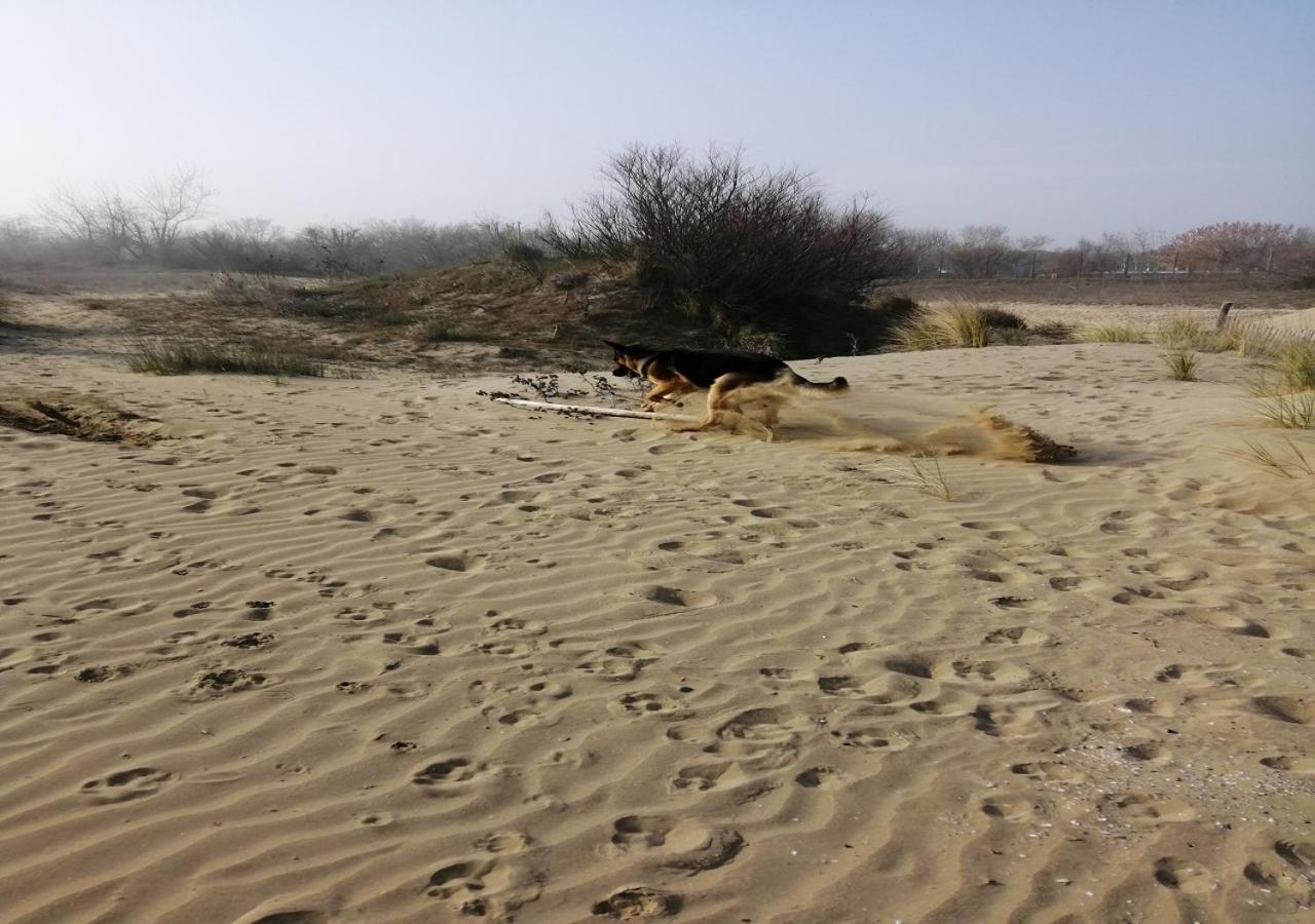 Alloggi Al Mare 7 Cavallino-Treporti Exteriér fotografie