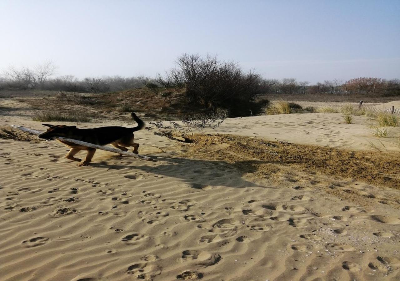 Alloggi Al Mare 7 Cavallino-Treporti Exteriér fotografie